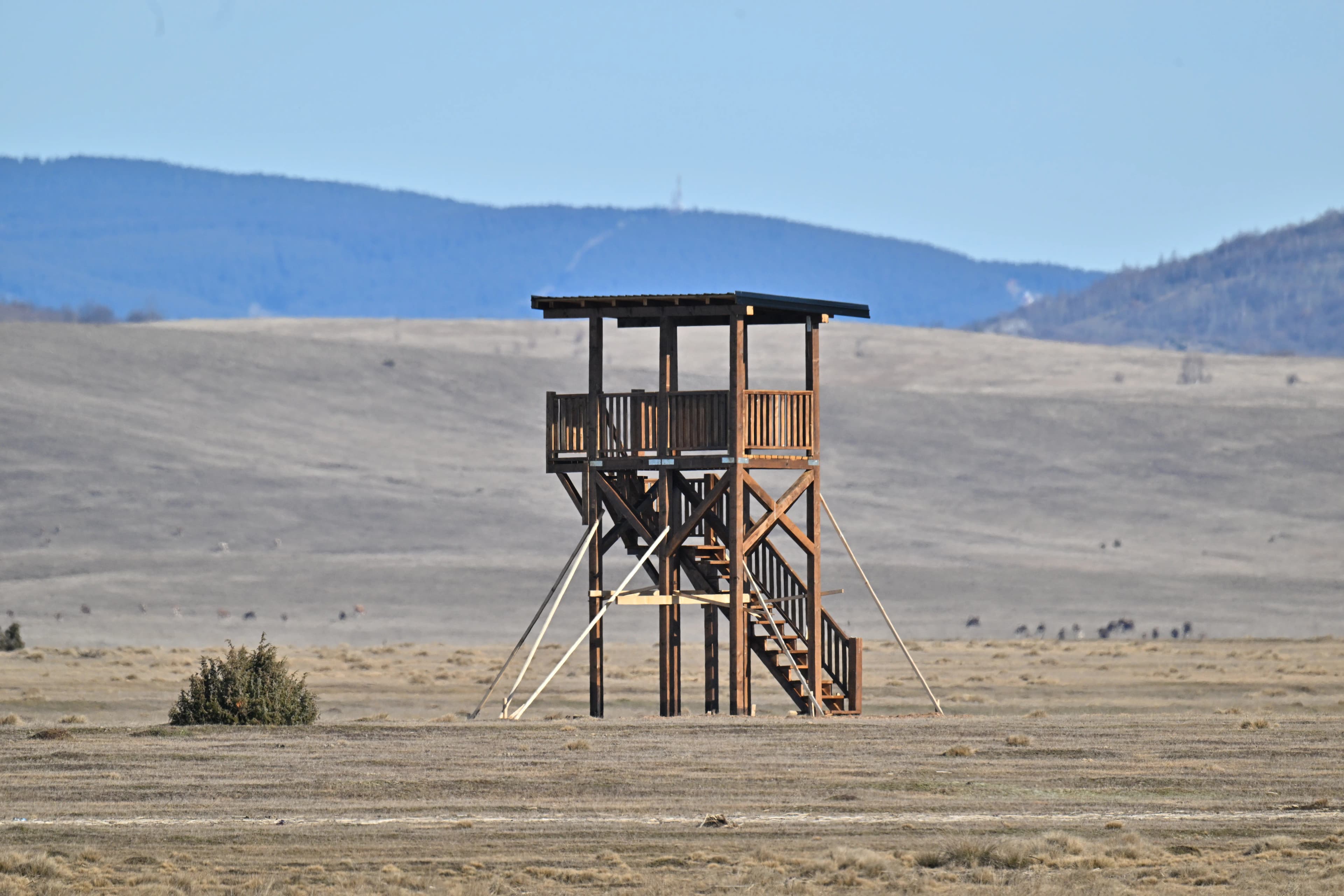 Specijalni rezevat prirode "Peštersko polje" 3